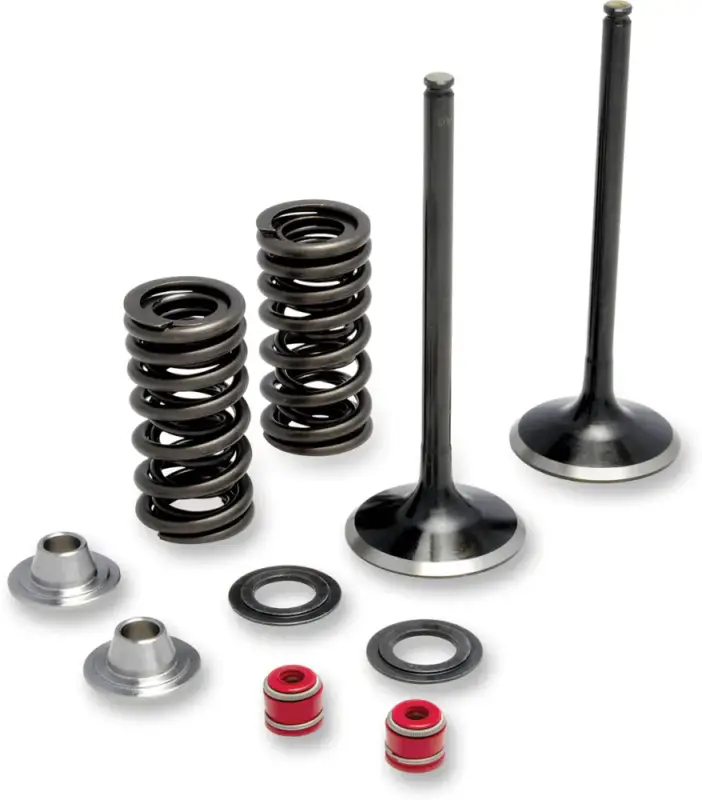 Veilige Betaling Moose Racing Uitlaatkleppenset Honda CRF450X 2005-2014