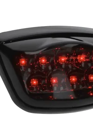 Achterlicht DMP Led voor AGM VX50, BTC Riva zwart smoke Seizoensaanbieding