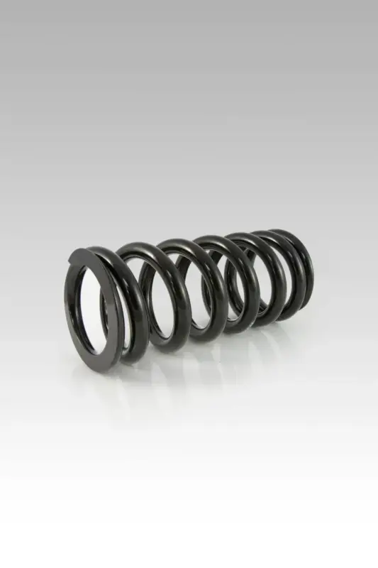 Lage Prijs Hyperpro Shock Springs-Spring Kits - Rear Shock Springs Indian Sb Twenty/Rg