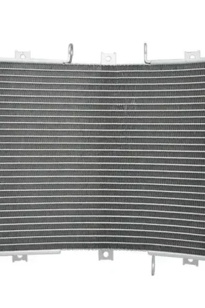 Radiateur Kawasaki ZX6R 1998 - 2002 Betrouwbaar