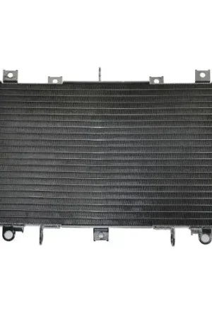 Radiateur Kawasaki Z1000 2003 - 2006 Express Levering