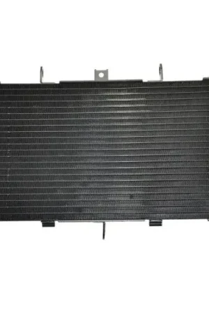 Lage Prijs Radiateur Kawasaki Z1000 2007 - 2009