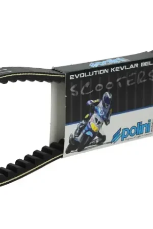 Betaalbaar Polini - V-SnaarSpeed Belt Evolution Kevlar Gilera & Piaggio Lang model