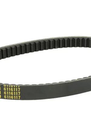 Must-Have Malossi - V-SnaarX-K Belt Gilera & Piaggio 125 - 150cc 4 Takt (Fly, Liberty, MP3, Sprint)